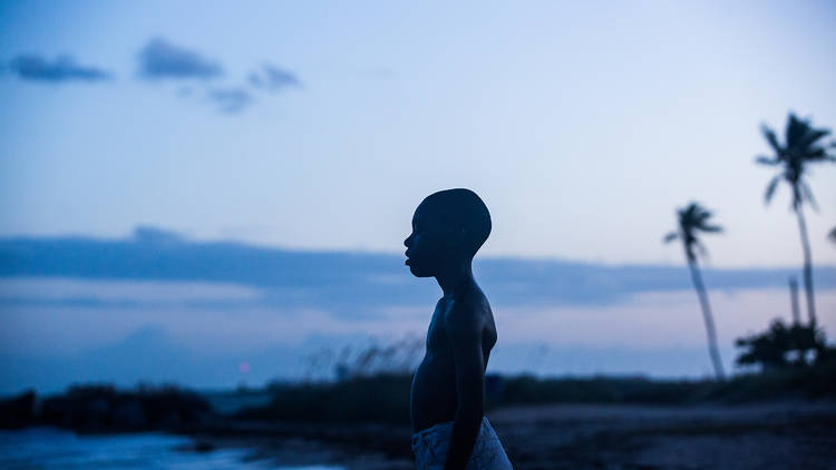 28 فیلم برتر در حال حاضر Netflix 14 Moonlight (2016)