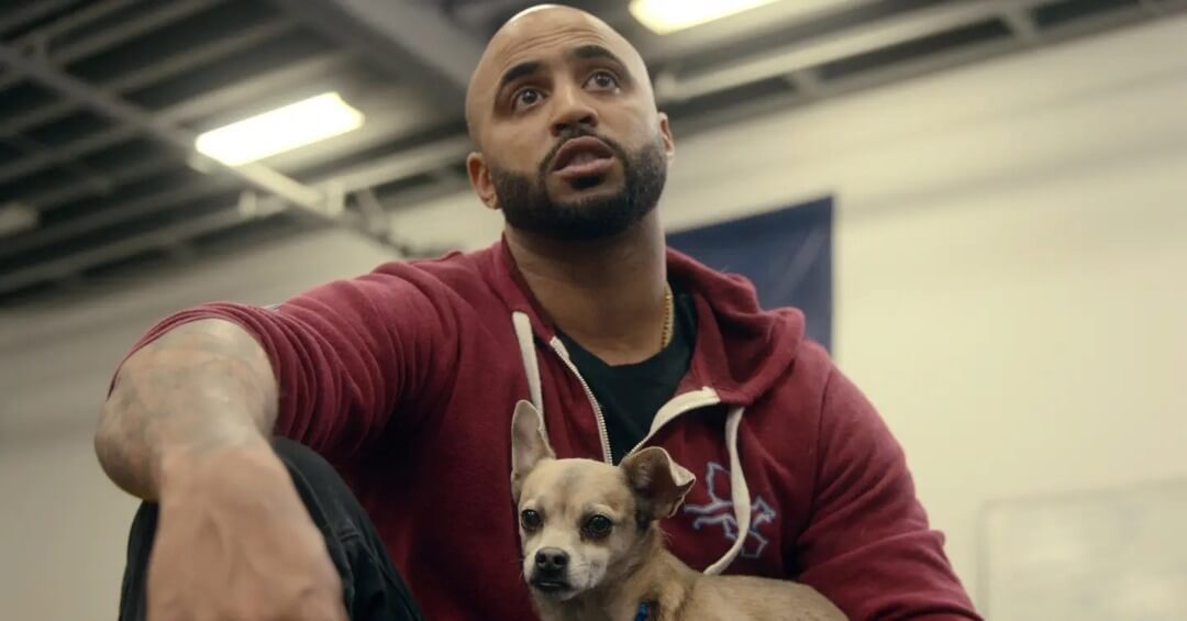 معرفی سریال مداخله سگ