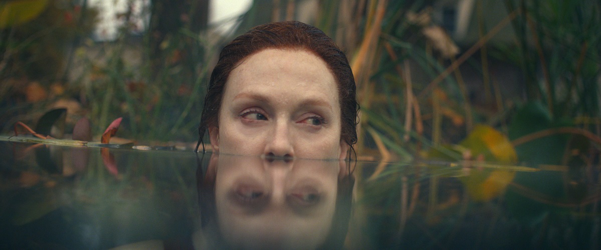 داستان لیسی