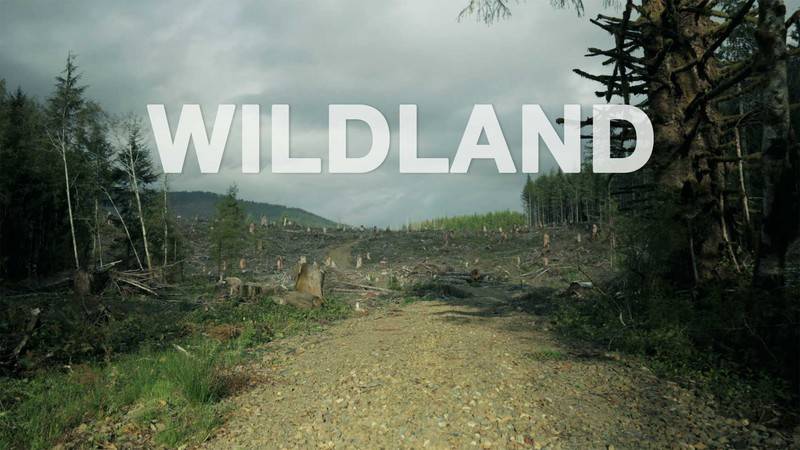 فیلم Wildland