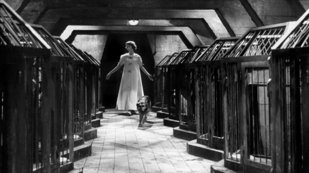 نقد فیلم چشمان بدون چهره | Eyes Without a Face 3 فیلم چشمان بدون چهره