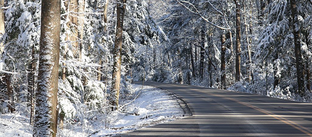 four seasons for fun north ga