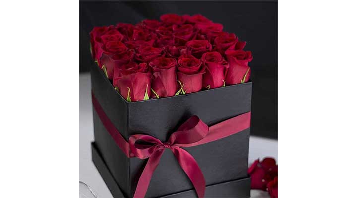 images 1696494969 651e7579b0636