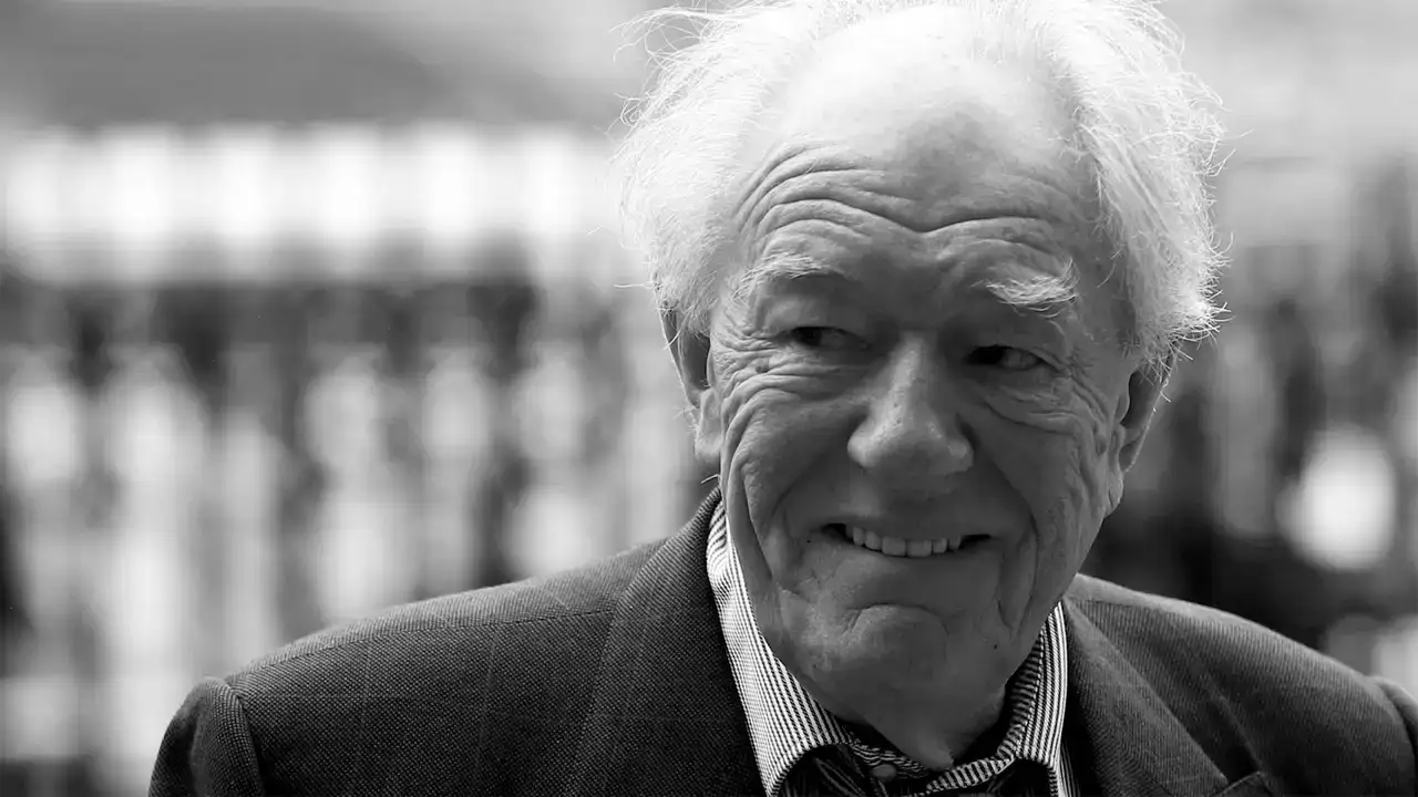 بیوگرافی مایکل گمبون | پرفسور دامبلدور در هری پاتر 1 مایکل گمبون