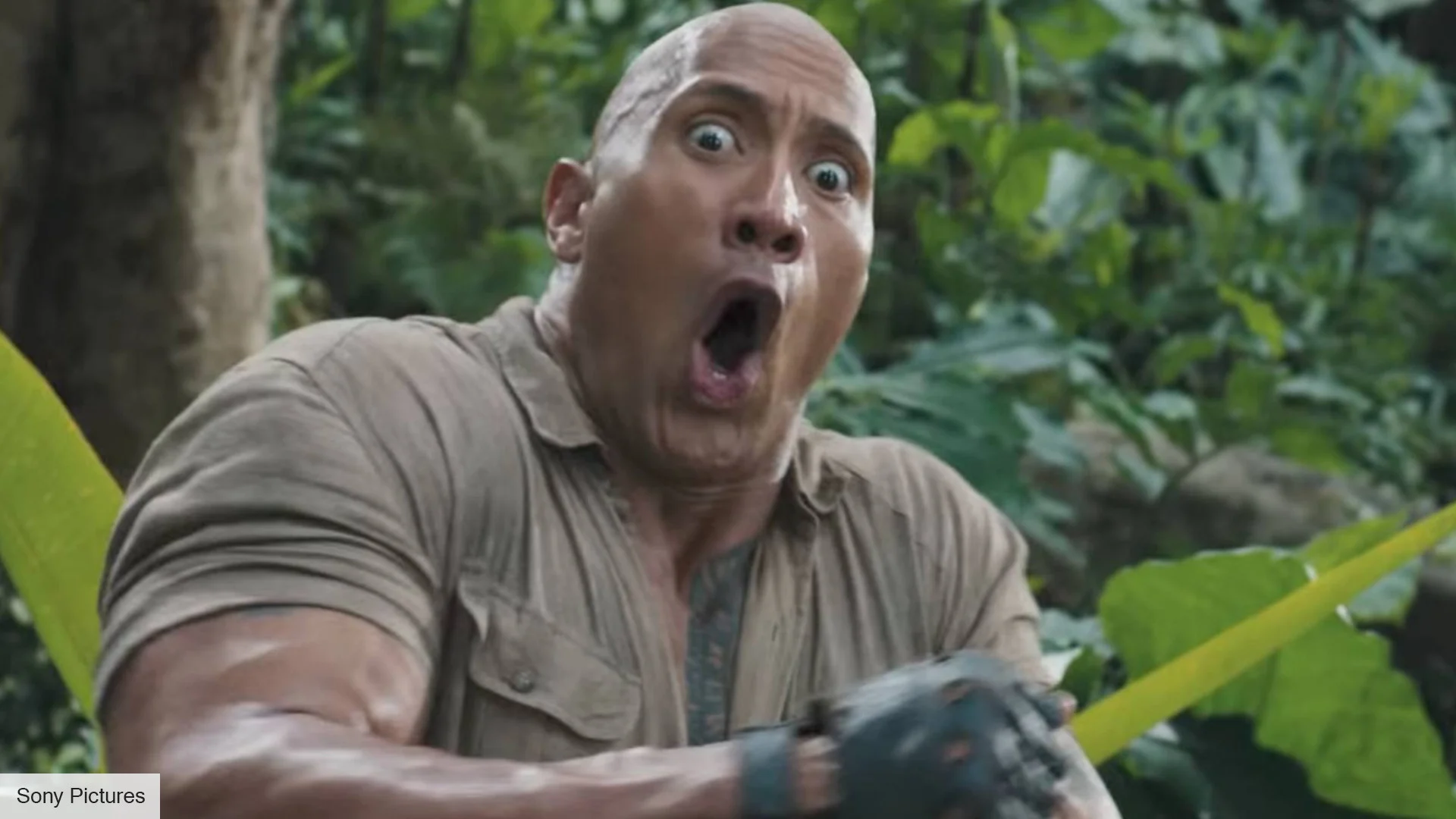 دواین جانسون