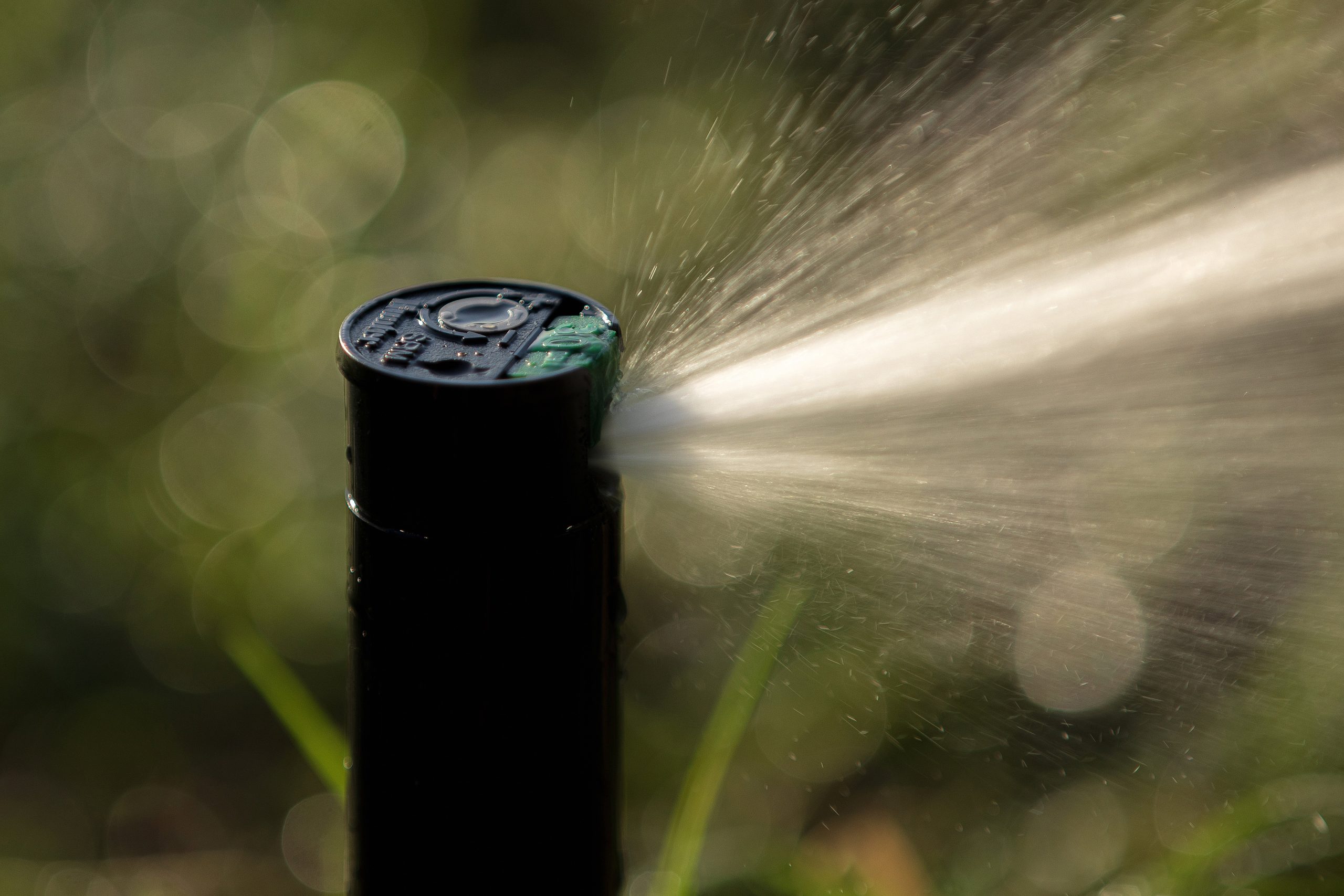 images 1702972619 65814ccb360dd scaled