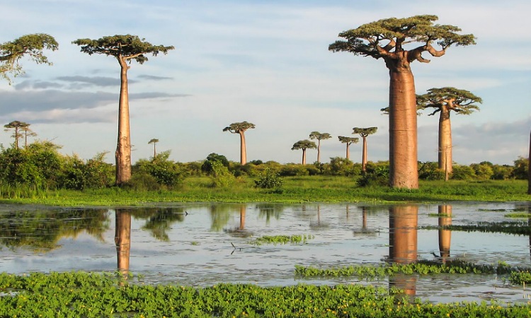 images 1704627777 659a8e4189af9