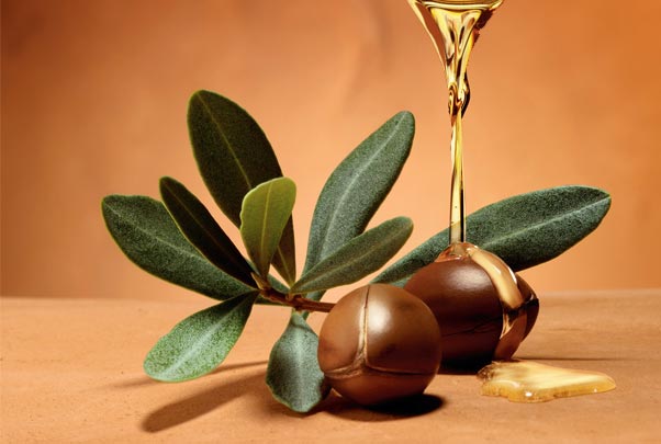 images 1704727412 659c13740768c