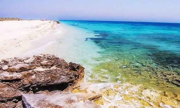 images 1713276797 661e877da230a