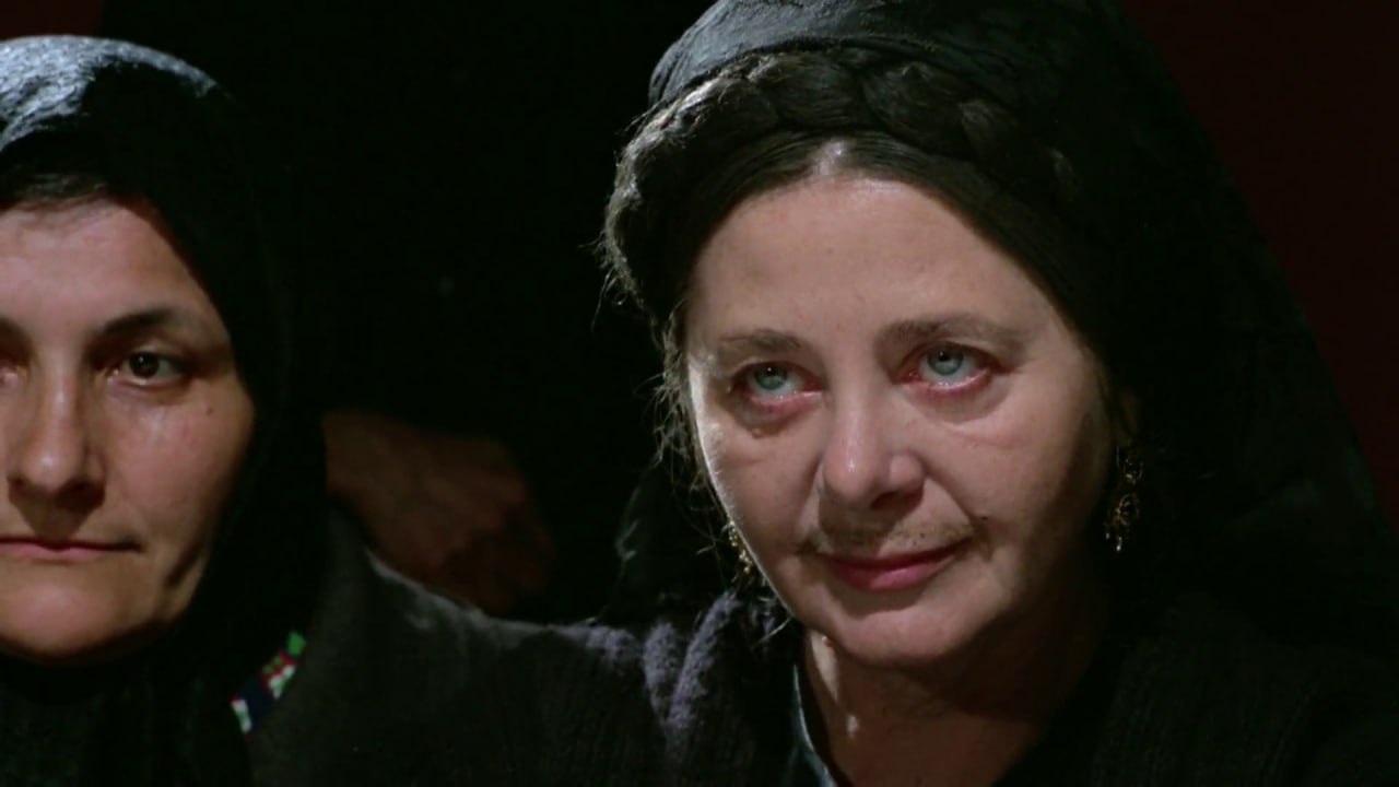 فیلم جانوران