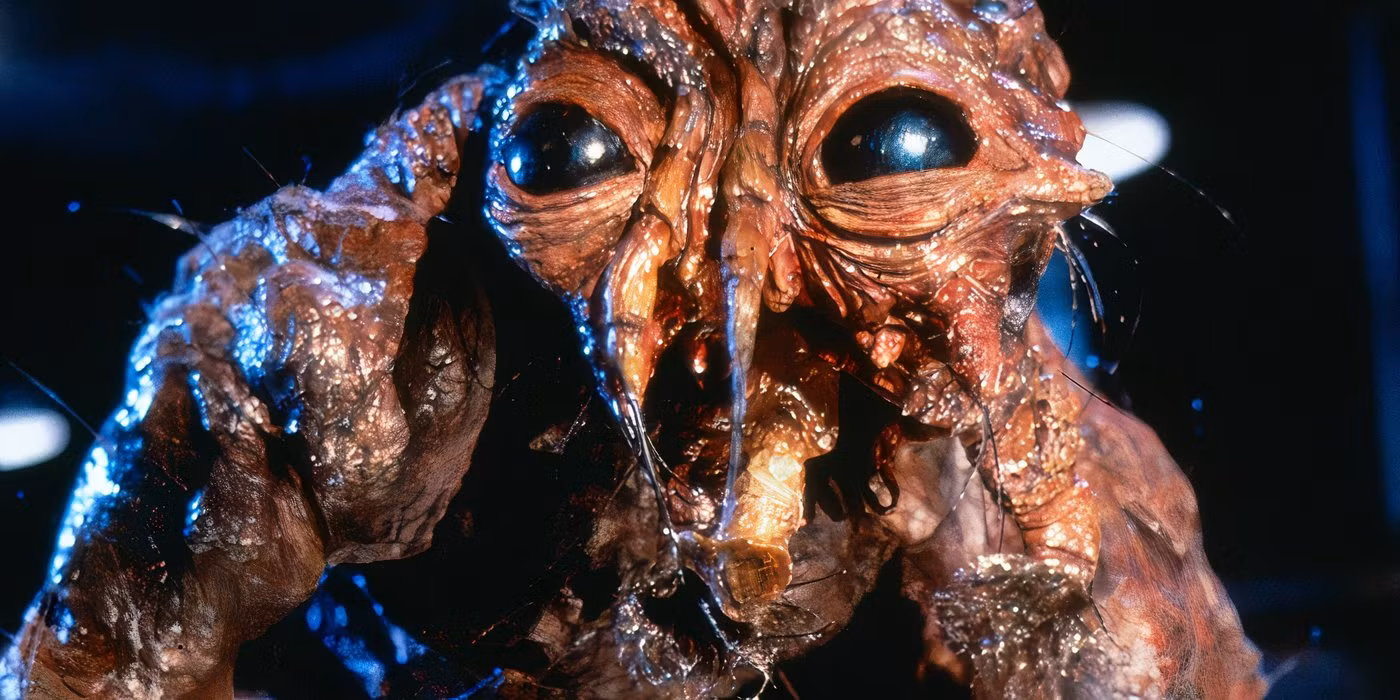 نقد فیلم مگس | The Fly 1986 1 فیلم مگس