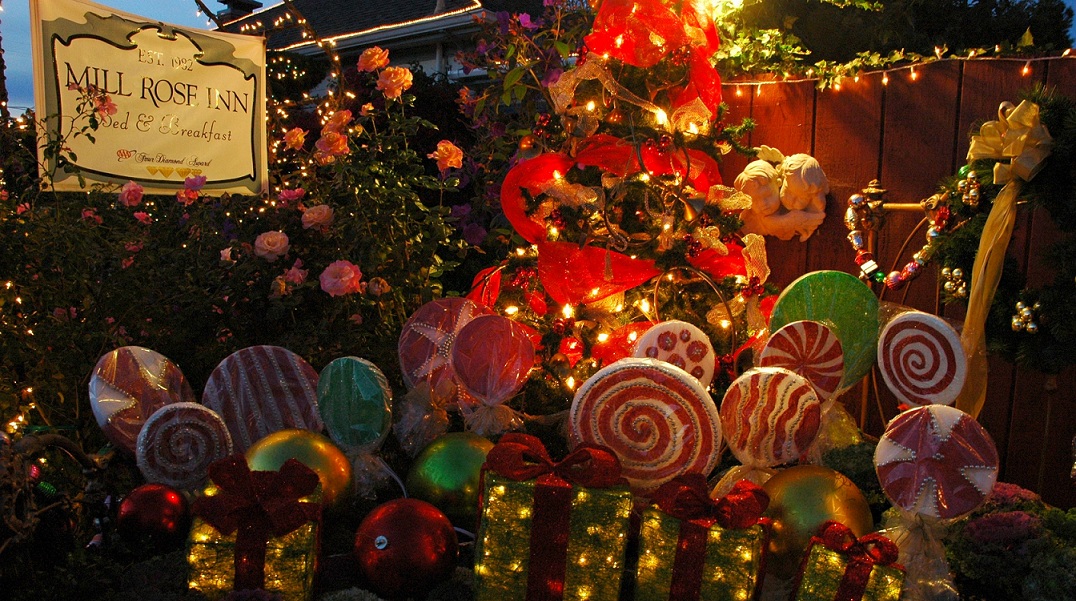 کشور آمریکا از نگاه یک مسافر: راهنمای جامع و کاربردی 2025 2 کشور آمریکا