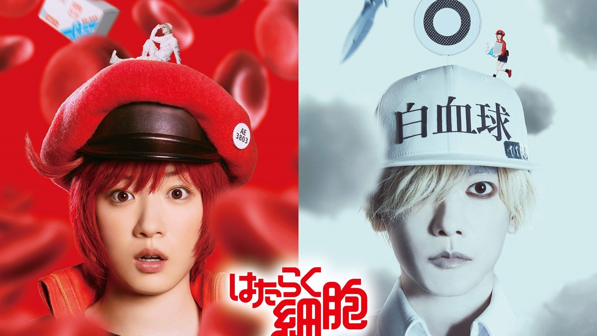 نقد فیلم سلولها مشغول کارند | Cells at Work 2024 15 فیلم سلولها مشغول کارند