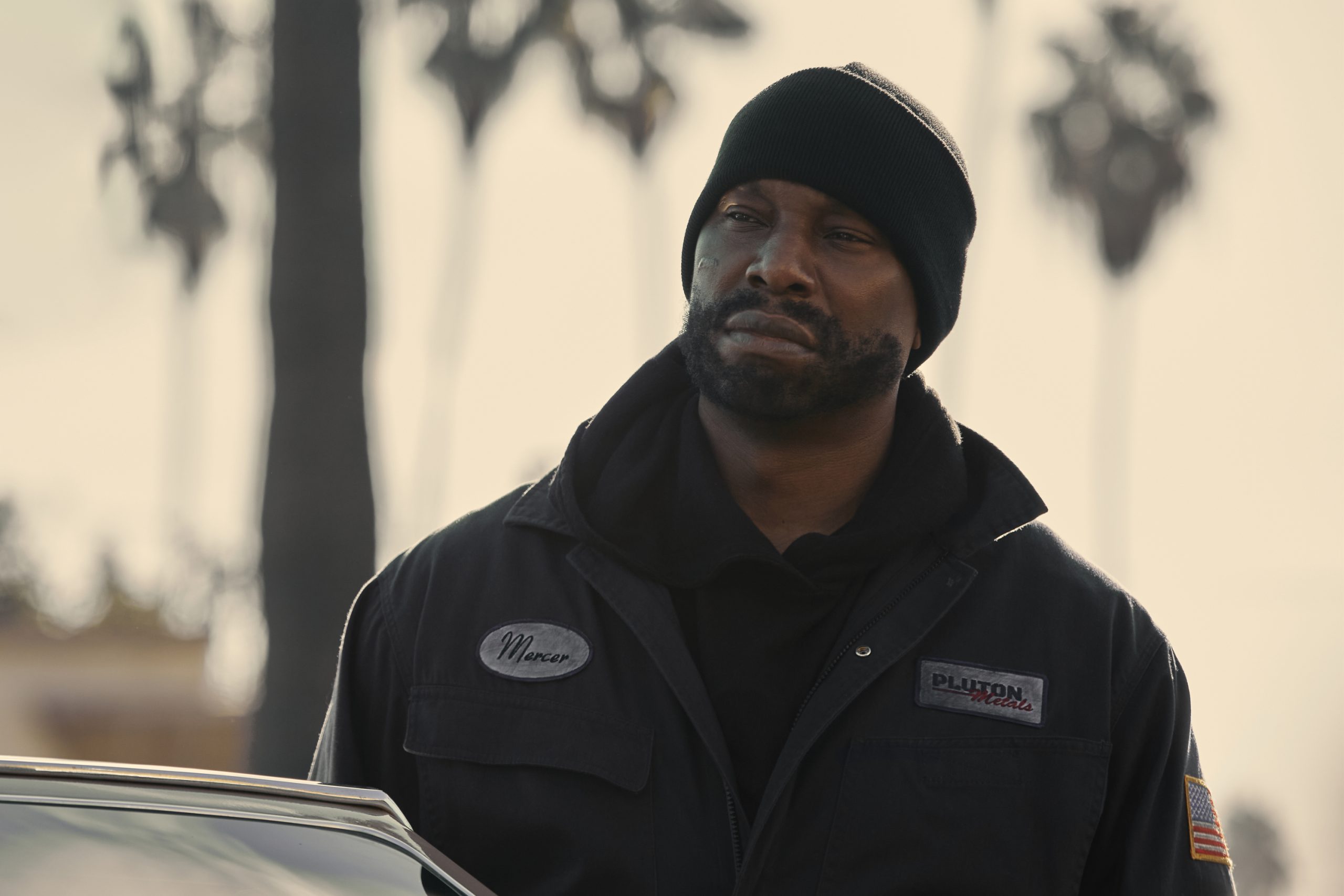 بیوگرافی تایریس گیبسون از موسیقی تا اکشن هالیوود 3 تایریس گیبسون