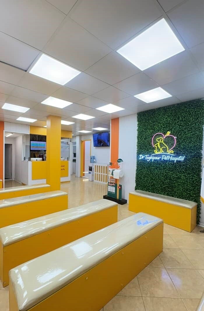 بهترین بیمارستان دامپزشکی کجاست و چه ویژگی هایی دارد؟ 3 بهترین بیمارستان دامپزشکی در تهران