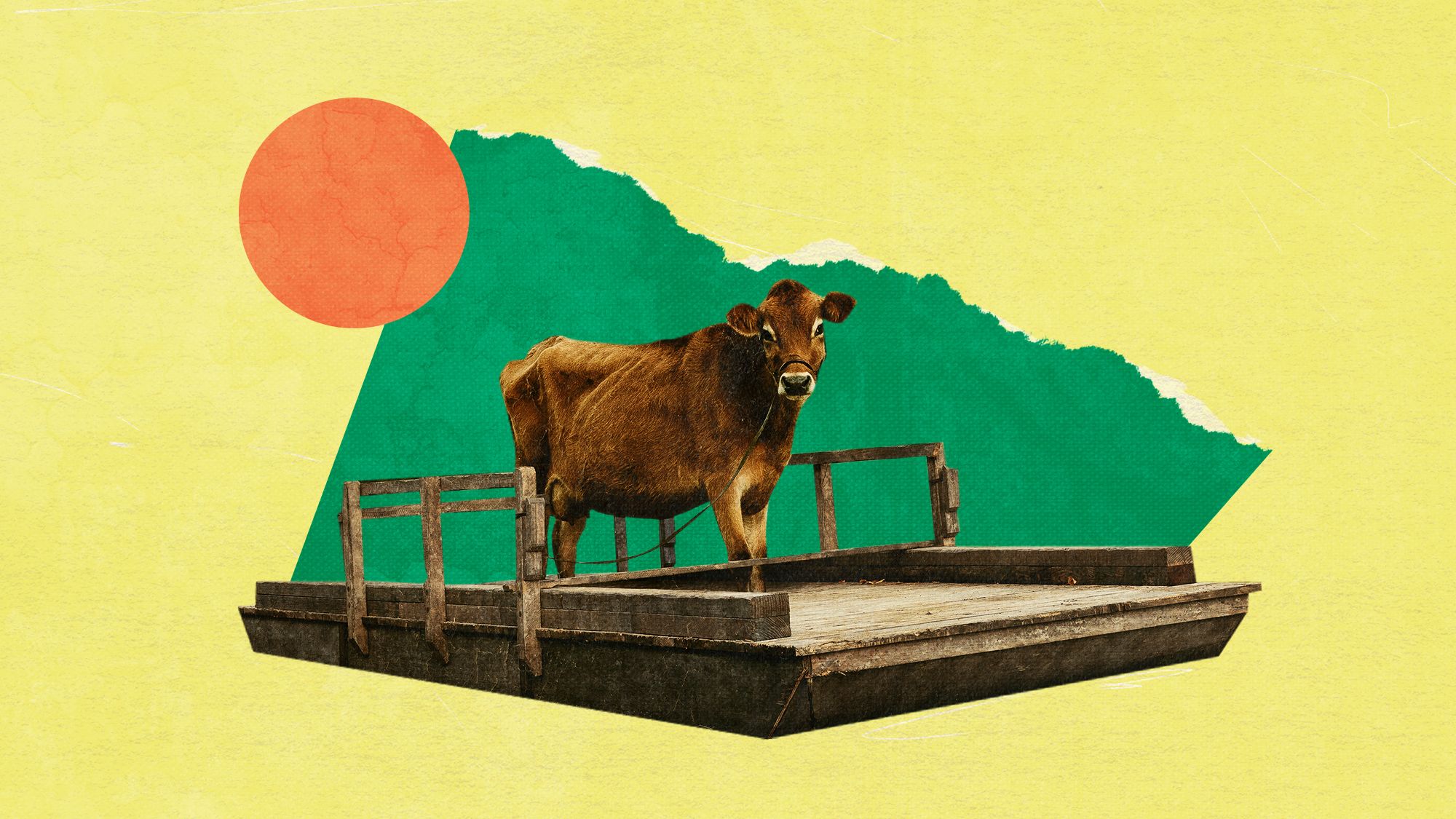 نقد و بررسی فیلم اولین گاو | First Cow 2020 1 فیلم اولین گاو