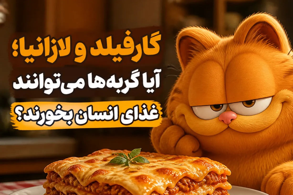 گارفیلد و لازانیا؛ آیا گربه‌ها غذای انسان می‌خورند؟